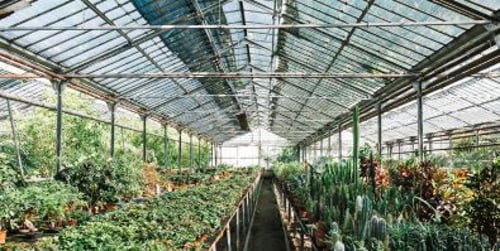 Gewächshaus heizen. Wie Sie Ihr Gewächshaus effizient heizen können ?