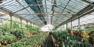 Gewächshaus heizen. Wie Sie Ihr Gewächshaus effizient heizen können ?