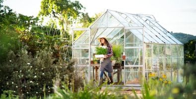 Gewächshäuser Test 2026 - Die besten Gewächshäuser im Vergleich und Test