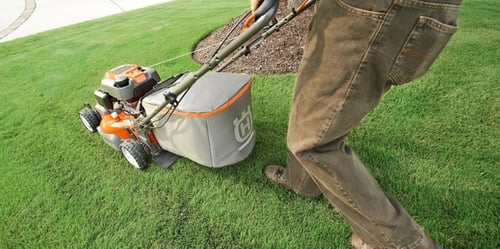 Jak se v létě starat o trávník?