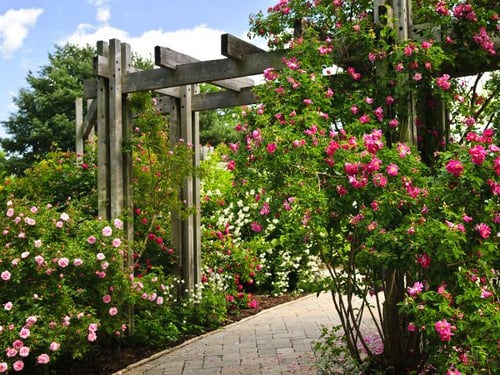 Wie kann man einen kleinen romantischen Garten gestalten?