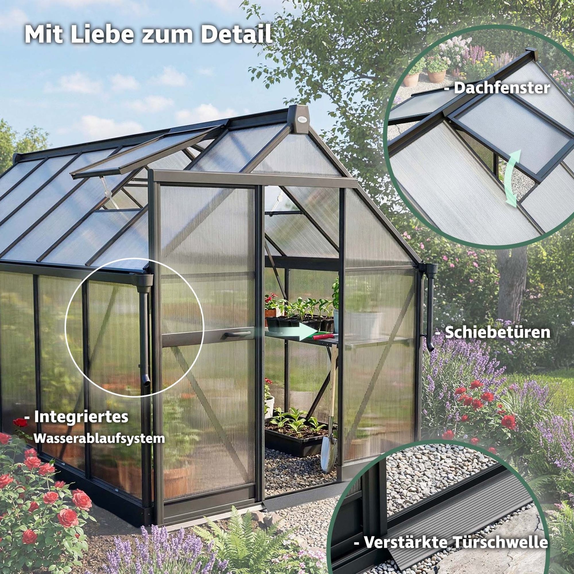 Details für eine einfache Pflanzenpflege