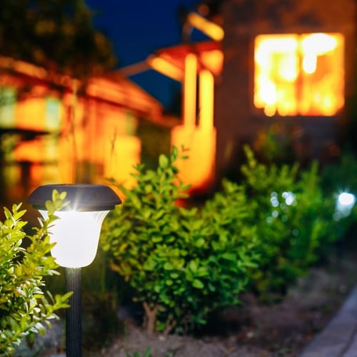 Leuchtende Solar-Gartenlampe neben grünen Sträuchern bei Nacht