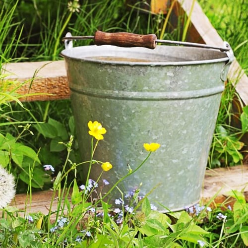 Ein verzinkter Metalleimer mit einem Holzgriff steht auf einem Holzbalken im Garten. Um den Eimer wachsen gelbe und blaue Blumen.