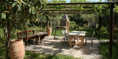 Mediterraner Garten: So gelingt die Gartengestaltung mit südlichem Flair