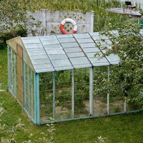 Klassisches Glas Gartenhaus Gewächshaus im grünen Garten mit Pflanzen