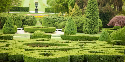 Französischen Garten gestalten: Hinweise & Gestaltungsideen