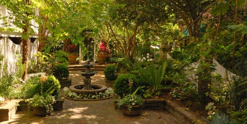 Schattengarten gestalten: Ideen & Tipps für schattige Ecken im Garten