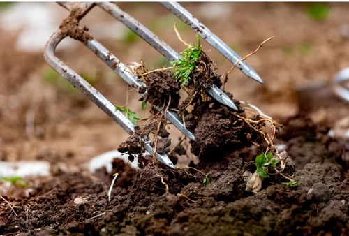 So geht's richtig: Garten umgraben