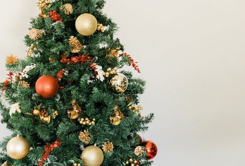 Tannenbaum gießen: So bleibt Ihr Weihnachtsbaum länger frisch