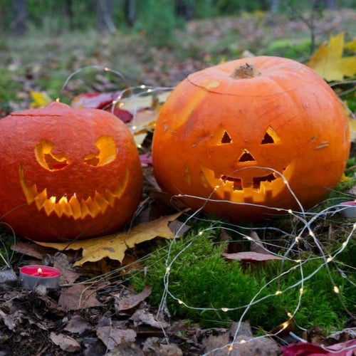 Trick or Treat: 5 gruselige Halloween Deko Ideen für draußen