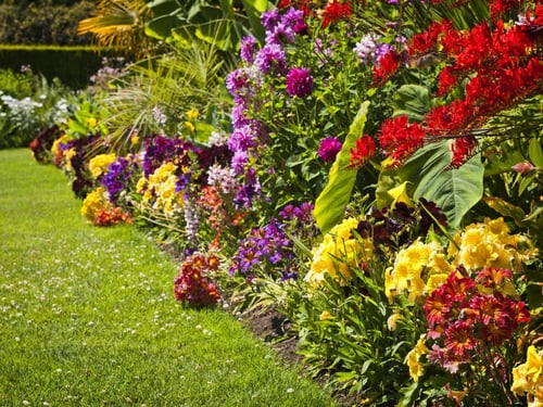 Farben im Garten harmonisch kombinieren