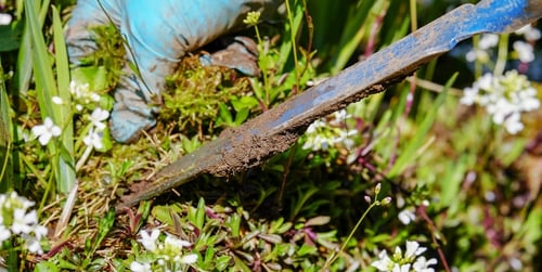 Gartenarbeit im März: perfekter Start in die Gartensaison