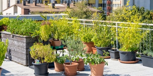 Dachterrasse gestalten: Ideen für Ihr Outdoor-Paradies