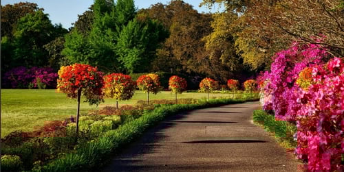 Jak zaaranżować ogród na nadchodzący sezon?