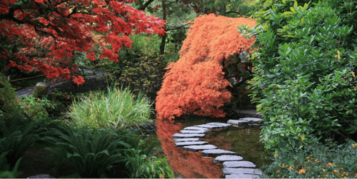 Aranżacja ogrodu w stylu japońskim - wskazówki i inspiracje