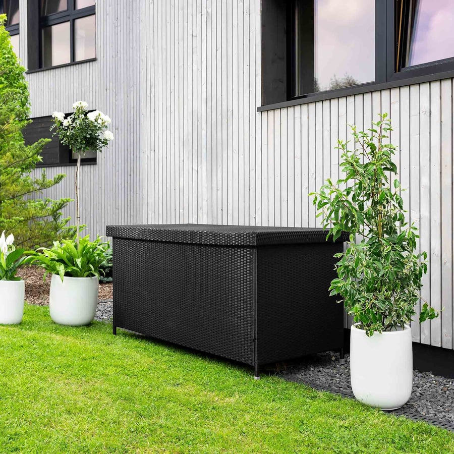 Belia czarna Pigal - 6