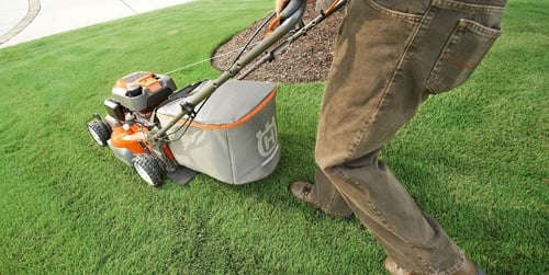 Jak dbać o trawnik latem?